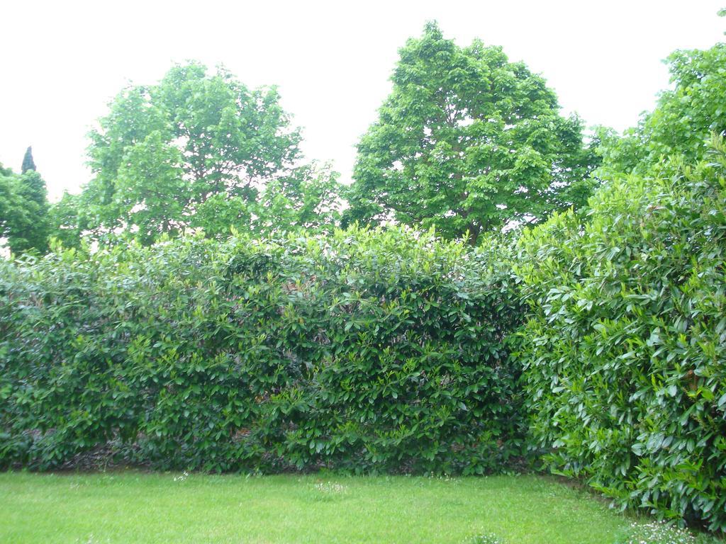 La Vigna Apartment Sienne Chambre photo