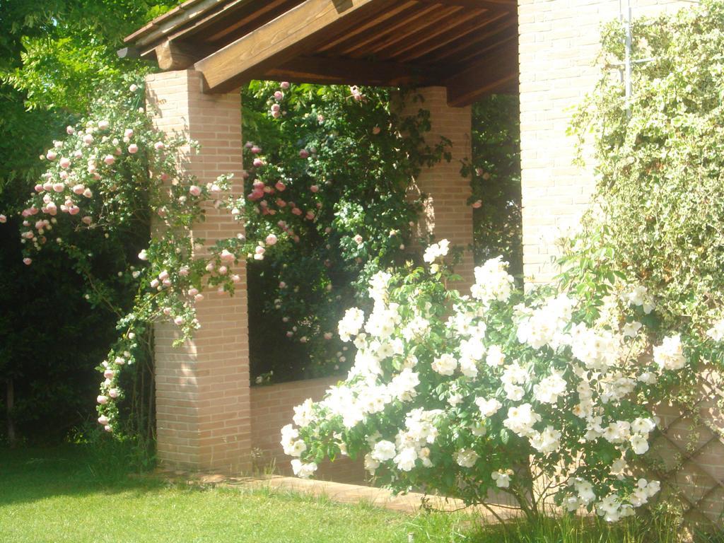 La Vigna Apartment Sienne Extérieur photo